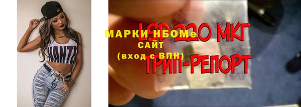 ГАЛЛЮЦИНОГЕННЫЕ ГРИБЫ Абаза