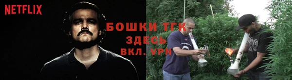 тгк Абинск