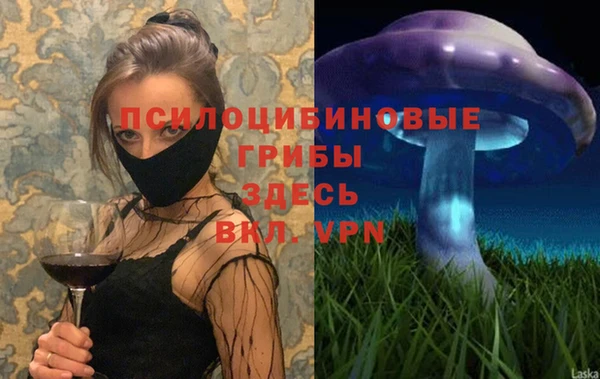 ГАЛЛЮЦИНОГЕННЫЕ ГРИБЫ Абаза
