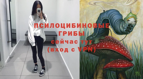 тгк Абинск