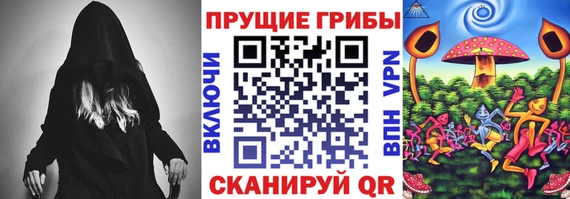 Псилоцибиновые грибы Cubensis  Болотное 